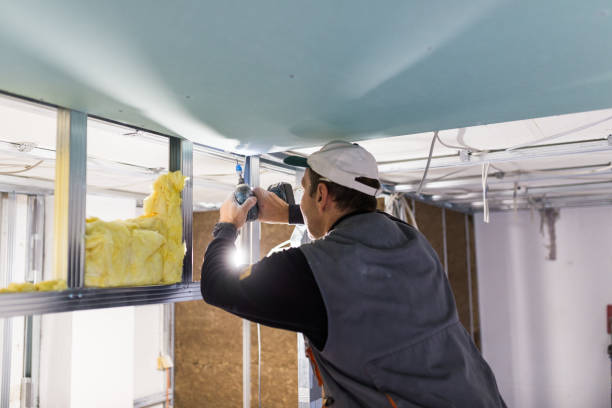 Best Insulation Installation Services in Inver Grove Heights, MN